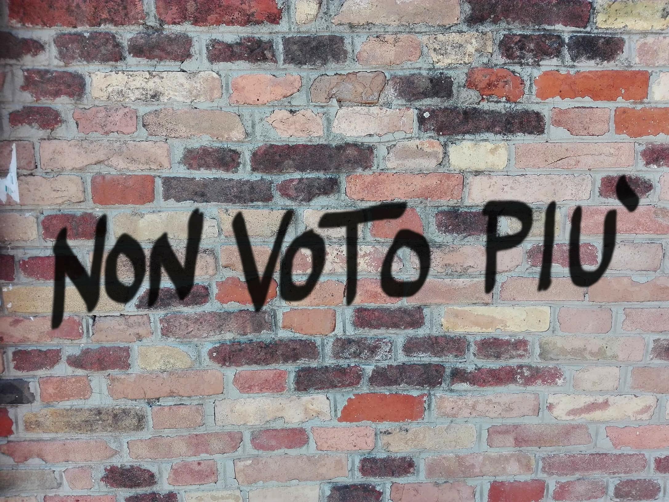 Non ci faranno più votare Detti e Scritti